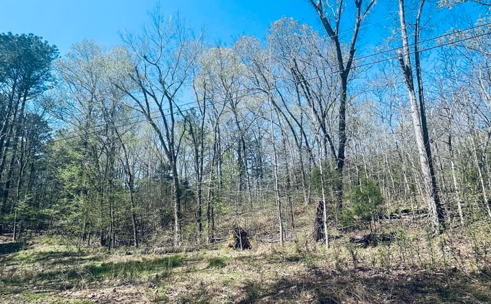 Pictures of Land property located at 0 Iron Horse Trail, Parsons, TN 38363 for sales - image #1