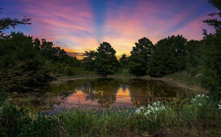 Pictures of Land property located at 4700 County Rd 1040, Celeste, TX 75423 for sales - image #1