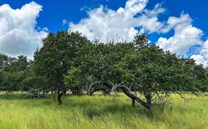 Pictures of Land property located at 3942 Mount Sharp Road, Wimberley, TX 78676 for sales - image #1