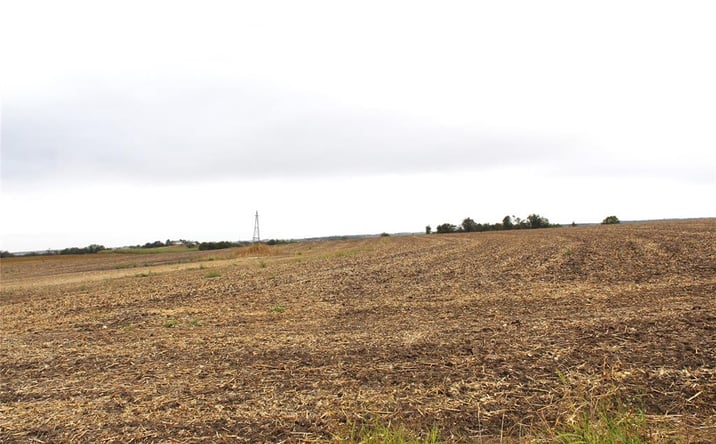Pictures of Land property located at Co Rd 420, Thorndale, TX 76577, Co Rd 420, Thorndale, TX 76574 for sales - image #1