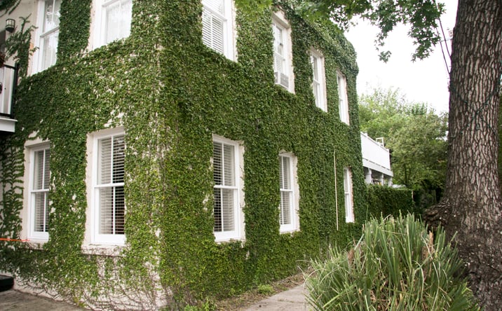Pictures of Multifamily property located at 215 W Huntingdon St, Savannah, GA 31401 for sales - image #1