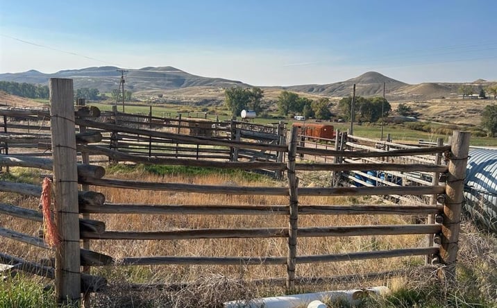 Pictures of Land property located at 3292 Road 42, Shell, WY 82441 for sales - image #1