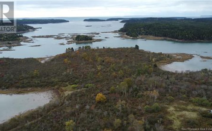 Pictures of Land property located at Highway 172, Letang, New Brunswick, Canada E5C1Z9, Westmoreland, CA 03467 for sales - image #1