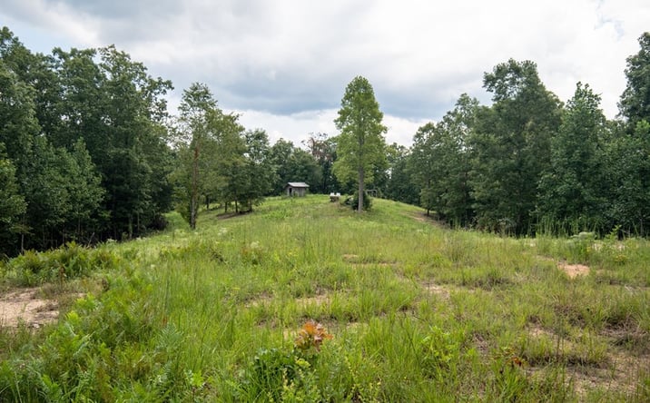 Pictures of Land property located at 694 Napier Road, Hohenwald, TN 38462 for sales - image #1