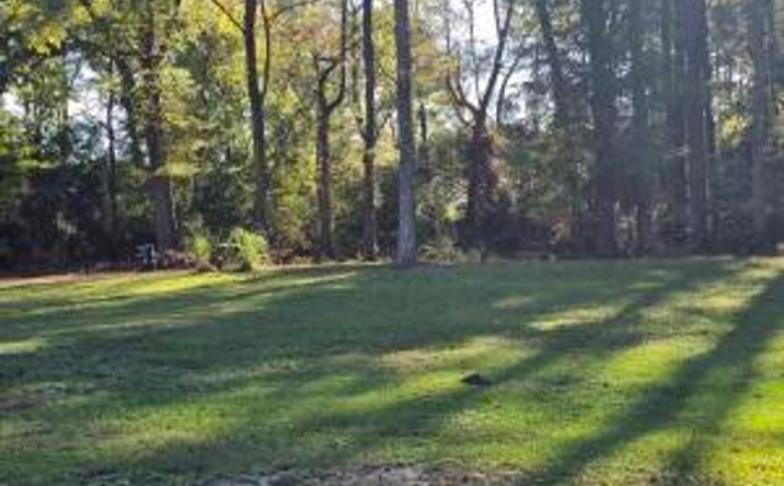 Pictures of Land property located at 00 Meadow Lane Lane, Barnwell, SC 29812 for sales - image #1