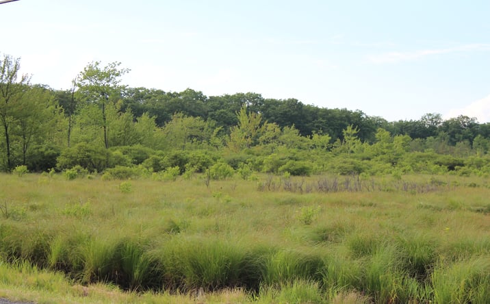 Pictures of Land property located at 50 Old Greenville Turnpike, Port Jervis, NY 12771 for sales - image #1