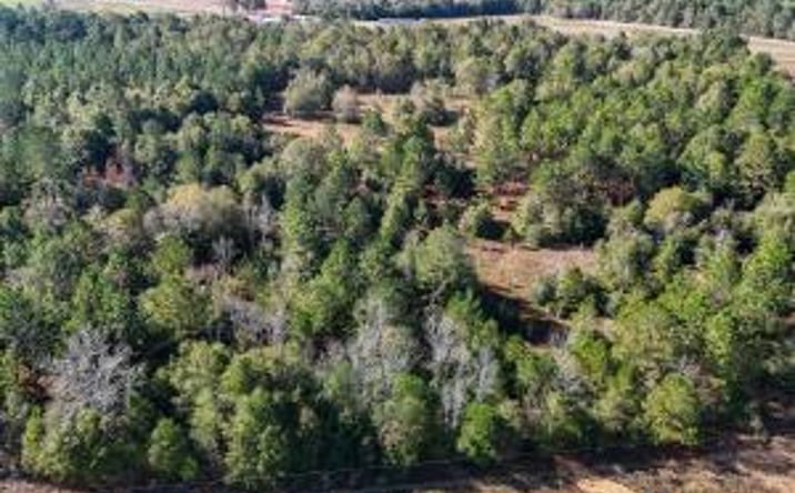 Pictures of Land property located at 244 Woodfield Road, Aiken, SC 29803 for sales - image #1