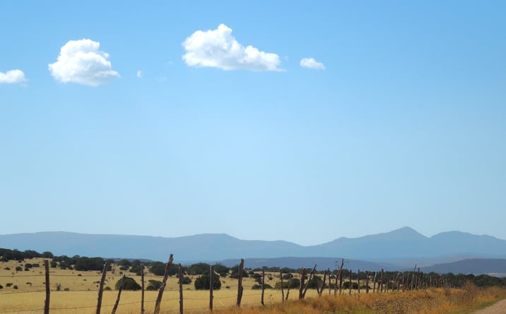 Pictures of Land, Mixed Use, Special Purpose property located at Lot 117 S, Estancia, NM 87016 for sales - image #1