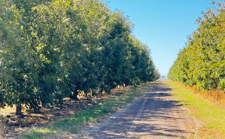 Pictures of Business for Sale, Land property located at 475 O'Kelly Rd SW, Deming, NM 88030 for sales - image #1