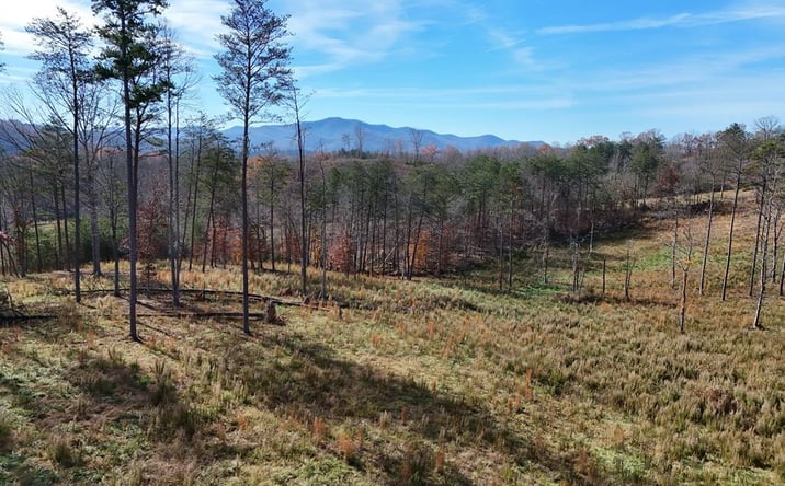 Pictures of Land property located at 902 Deitz Cable Road, Warne, NC 28909 for sales - image #1