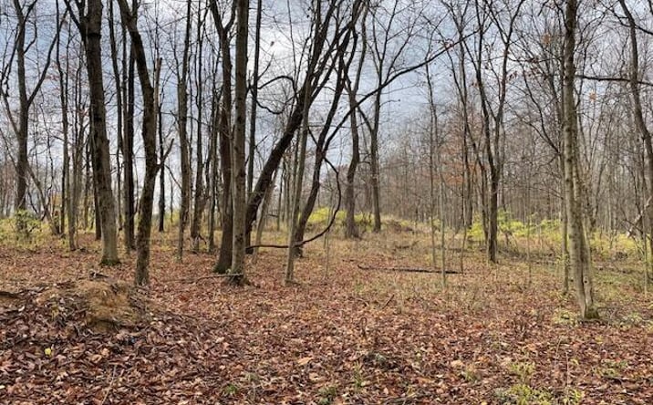 Pictures of Land property located at 0 Dozer Road SW, Stoutsville, OH 43154 for sales - image #1