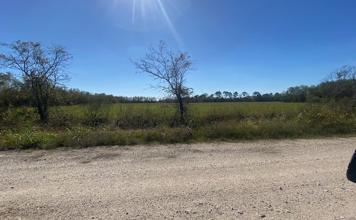 Pictures of Land property located at County Rd 62 East of Hwy 288, Rosharon, TX 77583 for sales - image #1