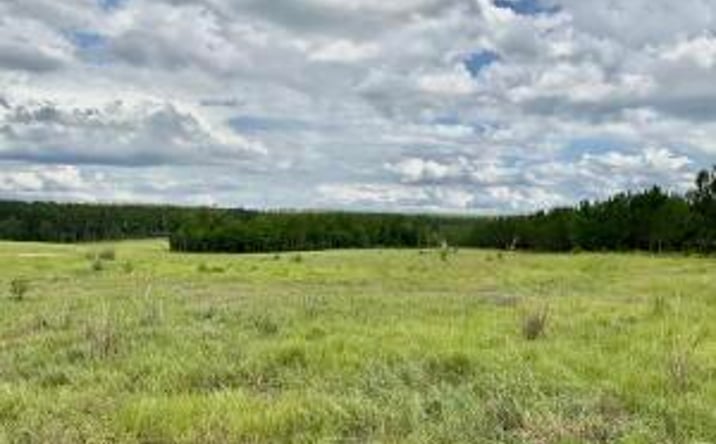 Pictures of Land property located at 0/ Lot 101 Ranchero Drive, Aiken, SC 29805 for sales - image #1