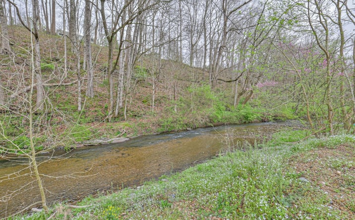 Pictures of Retail property located at 290 Main Street, Red Boiling Springs, TN 37150 for sales - image #1