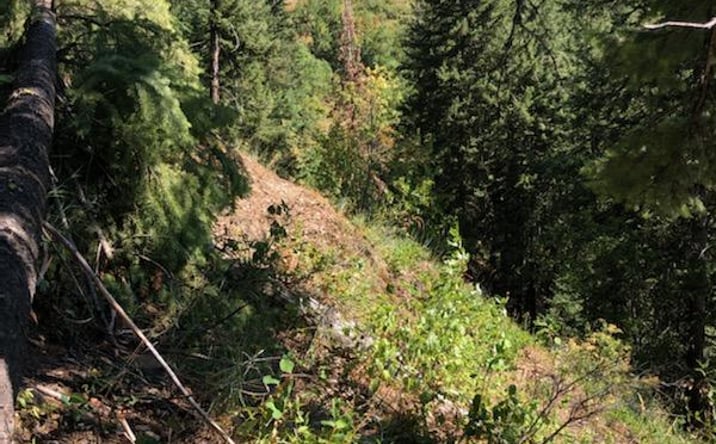 Pictures of Land property located at Burke-Canyon Creek Rd, Wallace, ID 83873 for sales - image #1