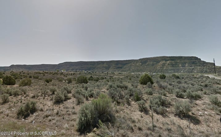 Pictures of Land property located at X ROAD 4599, Blanco, NM 87412 for sales - image #1