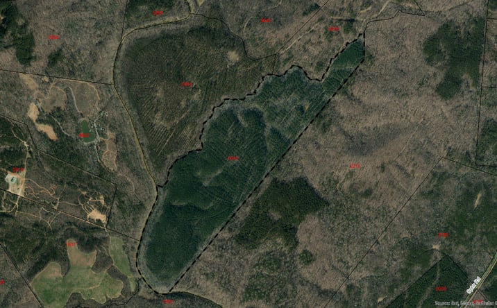 Pictures of Land property located at Ophir Rd, Troy, NC 27371 for sales - image #1