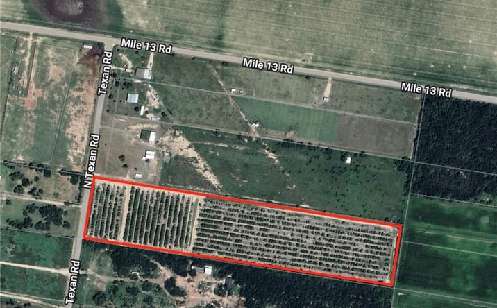 Pictures of Land property located at 03 Texan Road, Mission, TX 78574 for sales - image #1