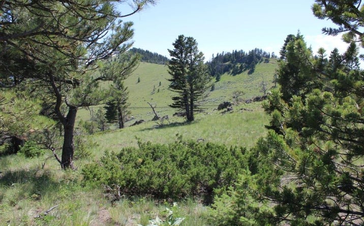 Pictures of Land property located at TBD Black Canyon Lane, Cascade, MT 59421 for sales - image #1