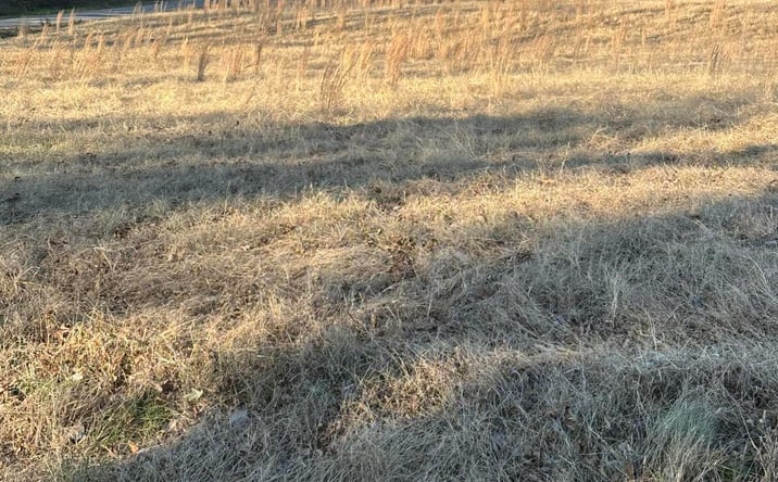 Pictures of Land property located at 0 Mitchell Lane, Halls, TN 38040 for sales - image #1