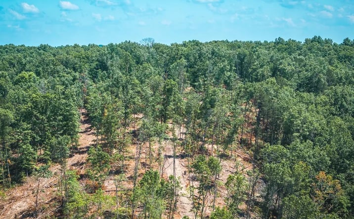Pictures of Land property located at TBD Highway B, Ellington, MO 63638 for sales - image #1