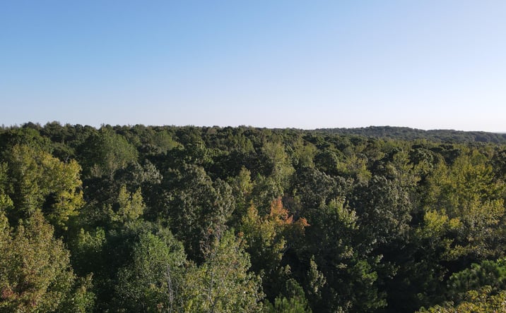 Pictures of Land property located at 0 Mt Gilead Road, Cedar Grove, TN 38321 for sales - image #1
