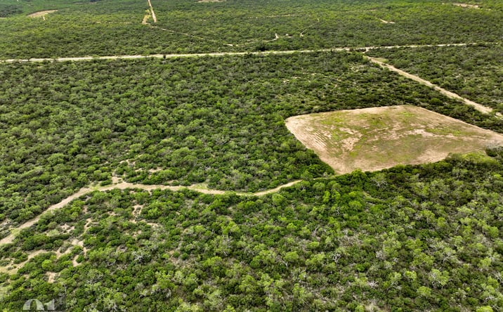 Pictures of Land property located at Deer Creek Rd, D'Hanis, TX 78850 for sales - image #1