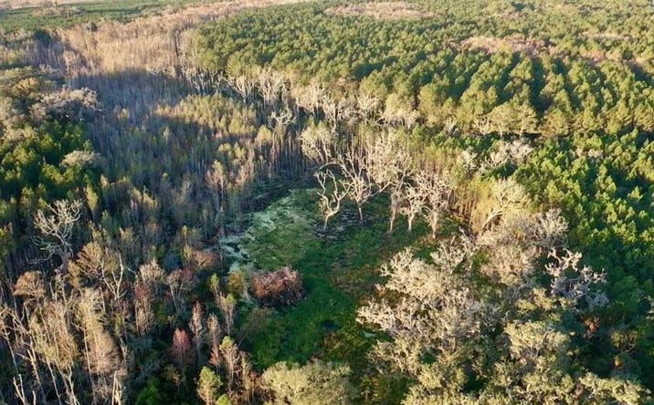 Pictures of Land property located at Wasden Waterfowl Retreat, McIntosh, GA 31331 for sales - image #1