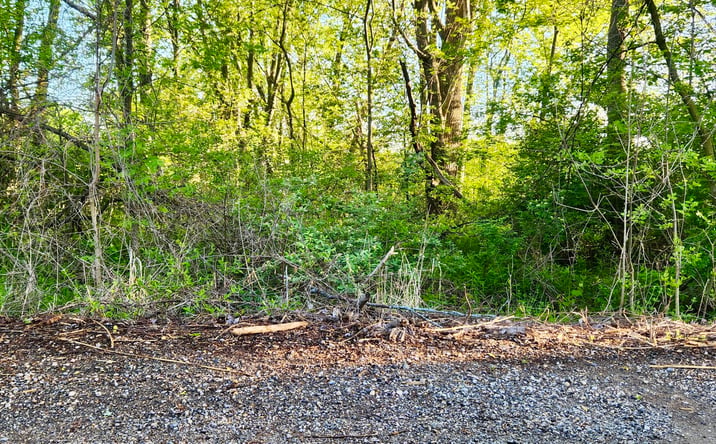 Pictures of Land property located at VL N 120th Avenue, Holland, MI 49424 for sales - image #1