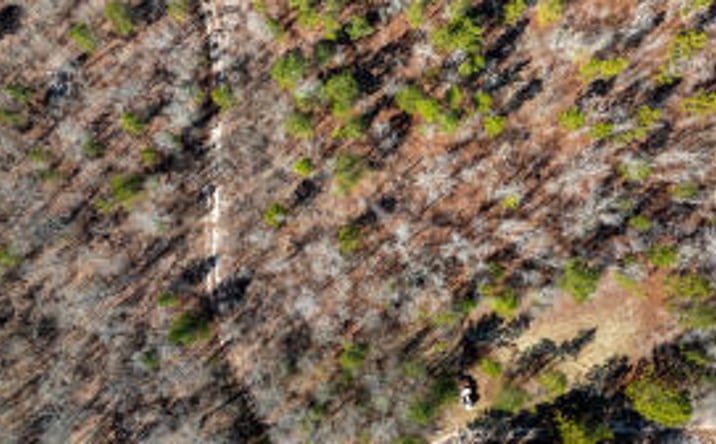 Pictures of Land property located at 000 Sand Dam Road, Wagener, SC 29164 for sales - image #1