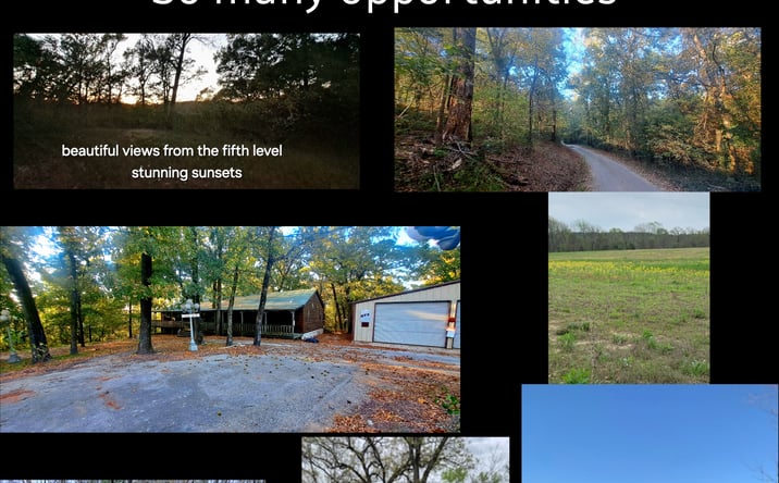 Pictures of Mixed Use, Multifamily, Special Purpose property located at 10774 County Rd 494, Tyler, TX 75706 for sales - image #1