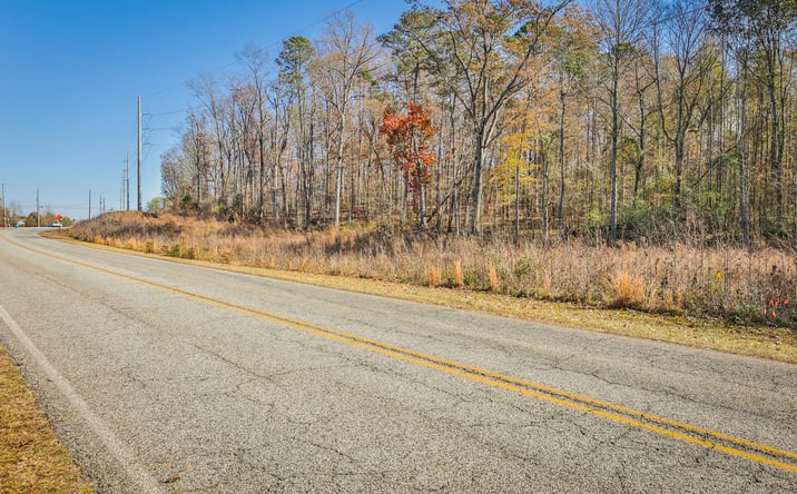 Pictures of Land property located at US Highway 441, Commerce, GA 30529 for sales - image #1