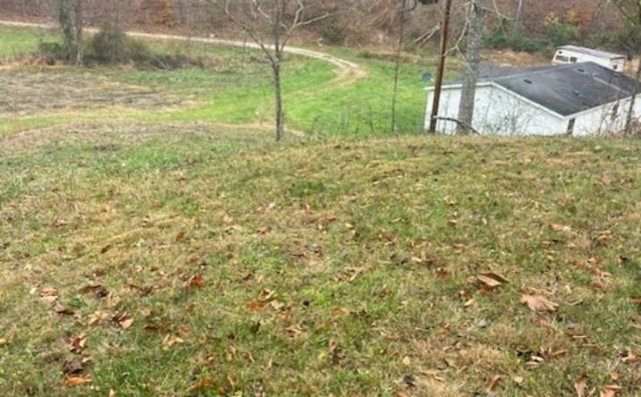 Pictures of Land property located at 573 June Creek Rd, West Liberty, KY 41472 for sales - image #1