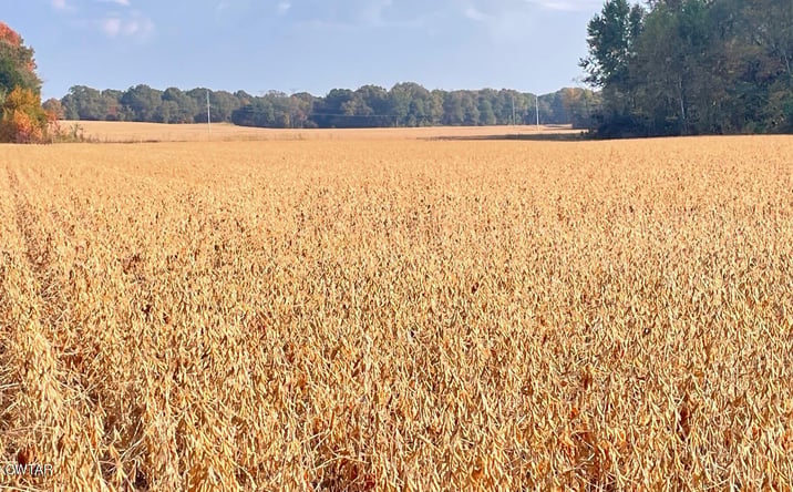 Pictures of Land property located at 00 Trenton Hwy, Milan, TN 38358 for sales - image #1