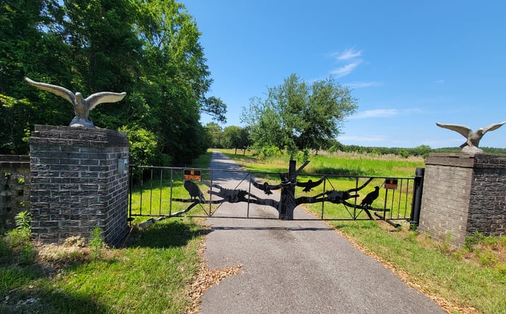 Pictures of Land property located at 99 Ashley Ln, Walterboro, SC 29475 for sales - image #1