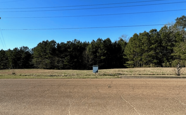 Pictures of Land property located at Byram Pkwy, Byram, MS 39272 for sales - image #1