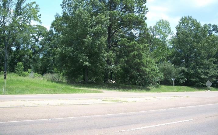 Pictures of Land property located at 5400 US-80, Pearl, MS 39208 for sales - image #1