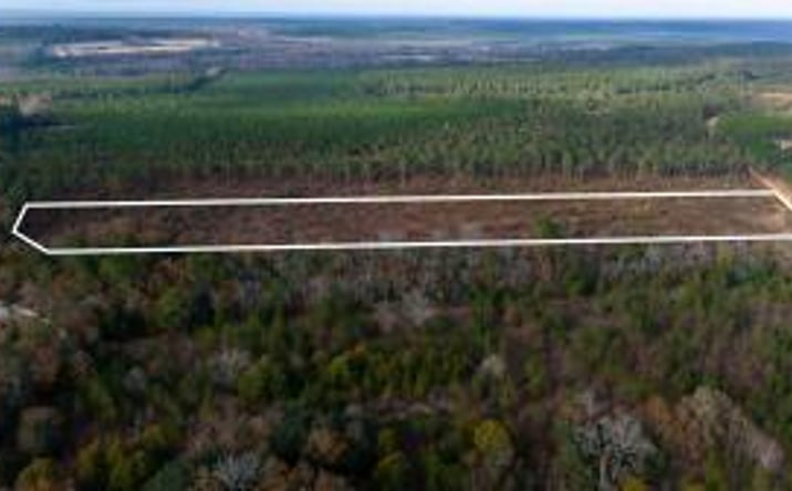 Pictures of Land property located at 0 Poinsettia Road, Wagener, SC 29164 for sales - image #1