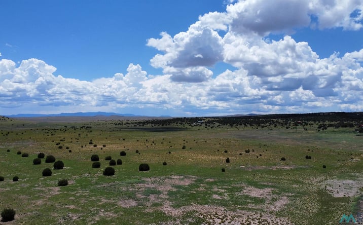 Pictures of Land property located at Lot 145 Quail Drive, Quemado, NM 87829 for sales - image #1