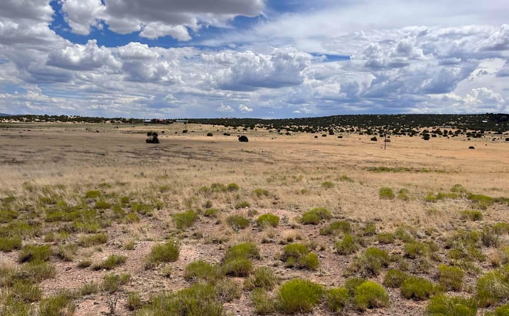Pictures of Land property located at Lot 144 Quail Drive, Quemado, NM 87829 for sales - image #1