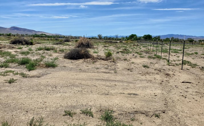 Pictures of Land property located at 3510 US Hwy 95a N, Silver Springs, NV 89429 for sales - image #1