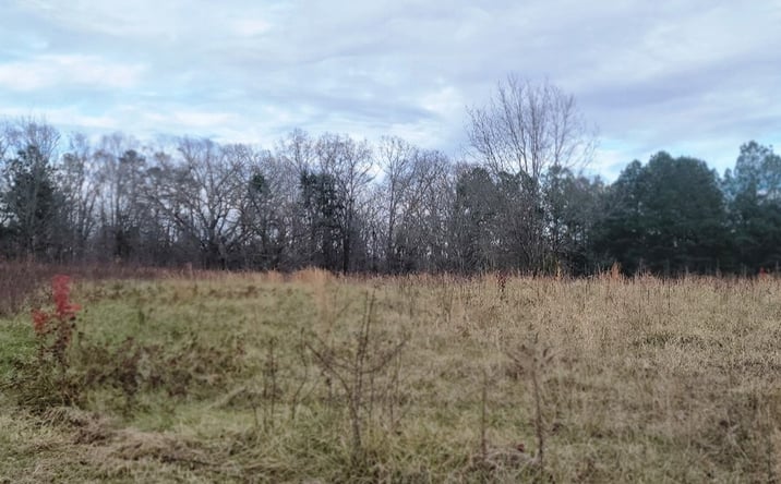Pictures of Land property located at Thompson Chapel Rd, Spartanburg, SC 29307 for sales - image #1