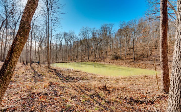 Pictures of Land property located at 195 Harrison Road, Jackson, OH 45640 for sales - image #1