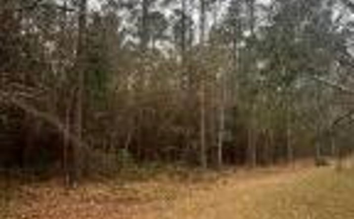 Pictures of Land property located at 0 Church Street, Gilbert, SC 29054 for sales - image #1