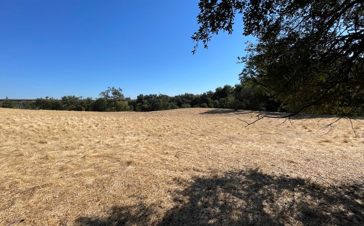 Pictures of Land property located at 1271 Antelope Creek Dr, Roseville, CA 95678 for sales - image #1