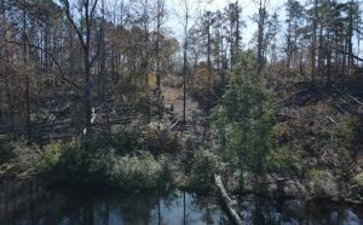 Pictures of Land property located at 0 Hummingbird Drive, Trenton, SC 29847 for sales - image #1