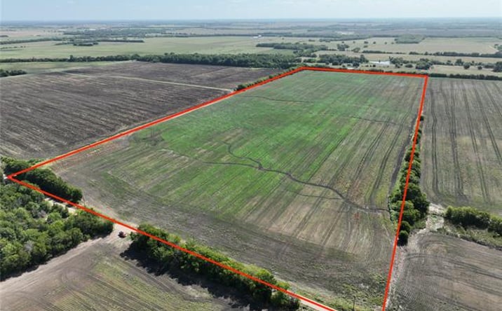 Pictures of Land property located at TBD County Road 26850, Petty, TX 75470 for sales - image #1