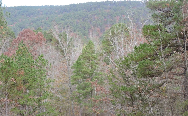 Pictures of Land property located at 911 Cold Springs Rd, Waldron, AR 72958 for sales - image #1