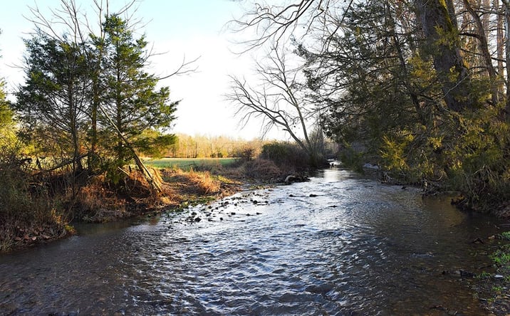 Pictures of Land property located at 420 Stanley Syra Rd, Edmonton, KY 42129 for sales - image #1