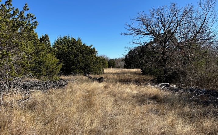 Pictures of Land property located at 102 Sean Lane, Bangs, TX 76823 for sales - image #1